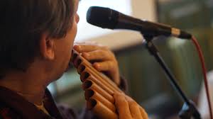 The 5 Best Pan Flutes For A Warm And Rich Sound Musician Wave