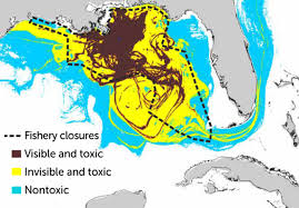 History, releasing millions of barrels of oil into the gulf of mexico. The Deepwater Horizon Oil Spill Spread Farther Than Once Thought Science News