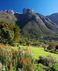 Nationaler Botanischer Garten Kirstenbosch Sudafrika Quot Ein 89 Morgen Botanischer Garten K Botanischer Garten Sudafrika Reisen Sudafrika Kapstadt