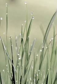 Pin By Gail Steven On Touches Of Color Green Aesthetic Sage Green Shades Of Green