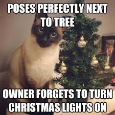 Cat Pose Fail memes | quickmeme