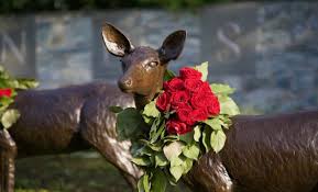 Heights floral shop, inc., offers fresh flowers and hand delivery right to your door in houston. Local Florist Spreads Joy Through Public Arrangements In The Woodlands Hello Woodlands
