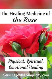Exquisite Graceful Alluring The Rose Is Associated With Sophisticated Beauty And Love But The Rose Is Much More Than An Rose Recipes Herbs For Health Herbs