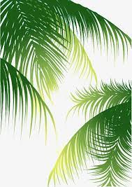 Leaves Background Coconut Green Leaves Green Background Green Leaves Green Vector Palm Vector Leaves Palm Tree Background Green Leaf Background Leaf Background