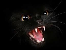 pin on primety ritualy