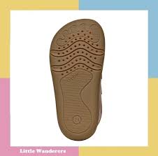 Little Wanderers added a new photo.