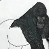 Gorilla coloring page monkey coloring pages cool coloring pages. 1
