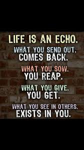 I Agree Inspirational Quotes For Teens Inspirational Quotes Zig Ziglar Quotes