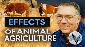 10 Amazing Vegan Transformation Stories of Slaughterhouse Workers and  Animal Farmers