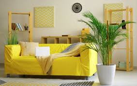 How to plant trees to stop noise pollution. Best Sound Absorbing Indoor Plants