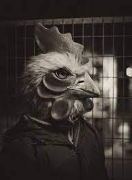 Chicken Man Art Curator Art Adviser I Am Targeting The Most Exceptional Art Catalog Http Www Busaccagallery Com Animal Heads Concept Art Pet Portraits