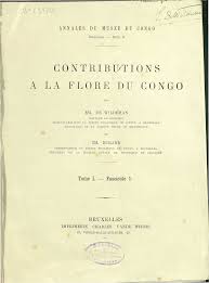 Image result for Isonema infundibuliflorum