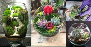 Por supuesto, también puedes utilizar piedras pintadas de cactus, para que tengas un terrario completamente de piedras. Como Hacer Un Terrario Dale Detalles