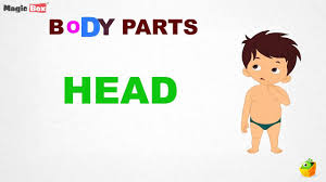 The next page is to trace the names of each body part. Body Parts Intro Body Parts Pre School Learn Spelling Videos For Kids Youtube
