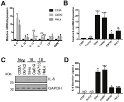 Pap tests have reduced the number of deaths due to cervical cancer by more than 50%. Autocrine Stat3 Activation In Hpv Positive Cervical Cancer Through A Virus Driven Akt Nfkb Il 6 Signalling Axis Biorxiv