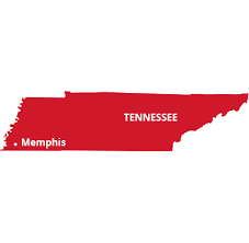 The mid south chapter works to improve the quality of life for people affected by ms in tennessee, north georgia, north mississippi and eastern arkansas and raise funds for critical ms research. Pest Control In Memphis Mid South Pest Termite