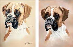 How To Improve A Boxer Dog Painting Http Www Colinbradleyart Co Uk Home How To Improve A Boxer Dog Painting Boxer Dog Puppy Dog Tattoos Dog Paintings