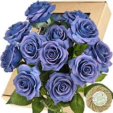 Gentiana, cornflower, lysianthus, grape hyacinth. Amazon Com Fiveseasonstuff Fake Roses Wedding Flowers Real Touch Silk Midnight Blue Artificial Flowers 12 Stems Kitchen Dining