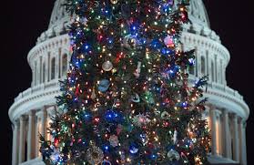 We did not find results for: Are Christmas Trees Pagan Inside The Origins Of The Evergreen Tradition
