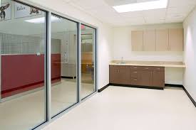 Pet sitter in oakland, florida. Commercial Suite Paws Pet Resort And Spa Olive Architecture