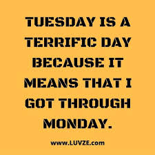 Having even one, small positive thought can change the rest of your day for the better. —unknown. Quotes For Tuesday At Work 140 Funny And Happy Monday Tuesday Wednesday Thursday Quotes Dogtrainingobedienceschool Com