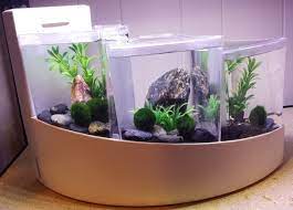 Compact enough to make an elegant statement anywhere in your home or office. 24 7 Fishblr So I Bought One Of Those Aqueon Betta Falls