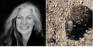 Look, a stiff Stiphra! Har har har (Well done friends at Houston Zoo!)  #stiphra #houstonzoo #bugsarecool