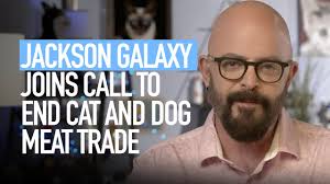 Animal Protection News from Animal Equality