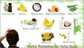 Home Remedies For Itchy Scalp Top 10 Home Remedies Itchy Scalp Remedies Home Remedies For Hair