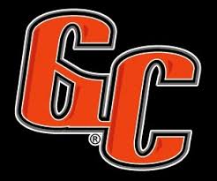 Resultado de imagen para TIGRES Y GIGANTES DEL CIBAO