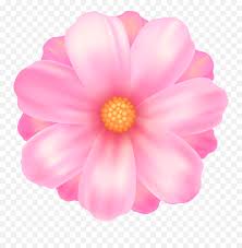 Download now for free this pink flowers background transparent png image with no background. Pink Flower Transparent U0026 Png Clipart Free Download Ywd Transparent Background Pink Flower Clipart Emoji Pink Flower Emoji Free Transparent Emoji Emojipng Com