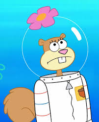 She looks a lot like sandy, but she has a few different features. Sandy Cheeks Spongebob Drawings Spongebob Painting Spongebob