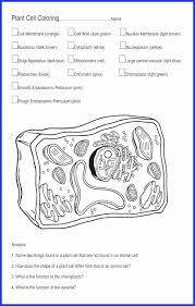 Notice that plant cells are different from animal cells even if they both have the same basic structure. Animal Coloring Answer Key New Cell Coloring Hitcolor Celula Eucariota Biologia Eucariota