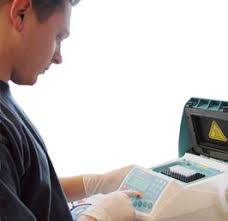 03Tree News edits3.indd