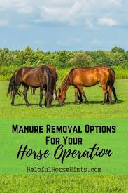 Choosing The Right Horse Manure Fork Should Be Easy But The Truth Is Horses Are Stalled On A Variety Of Different Surfaces And The Horse Manure Horses Manure