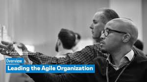 Use features like bookmarks, note taking and highlighting while reading unlocking agility: Leading The Agile Organization Executive Education
