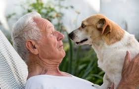 Finding Love With a Foster Dog During the Pandemic