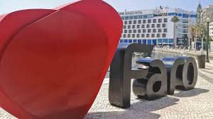 Image result for Faroa duvigneaud