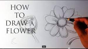 Lotus is another easy pencil drawings of flowers. Easy Flower Drawings For Beginners Youtube