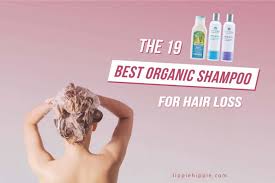 Regular shampoos can cause a lot of irritation due to the carcinogens that are in the ingredients. The 19 Best Organic Shampoo For Hair Loss Reviews 2021