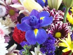 We did not find results for: Mazzi Per Lui 1 Bouquet Mazzi Per Lui 1