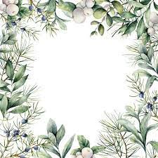 watercolor winter plants card hand painted frame with juniper winter plants hand painted frames floral illustrations