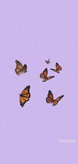 Butterfly Violet In 2020 Cute Patterns Wallpaper Butterfly Wallpaper Iphone Aesthetic Iphone Wallpaper