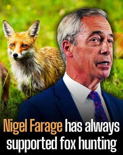 Farage says he does not believe fox hunting is cruel. 84% of the British public disagree with him.