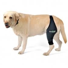 They have a super helpful staff (jessie) that is knowledgeable on their products. For Dogs With Hip Dysplasia Or Arthrosis Dog Wheelchairs And Knee Braces