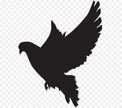 Eagle Drawing Png Download 6510 8000 Free Transparent Columbidae Png Download Cleanpng Kisspng Watercolor painting.two pigeons love silhouettes. clean png
