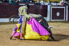 Alejandro Talavante tira de épica para abrir la puerta grande de Olivenza |  Hoy