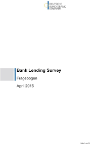We adopted some special features of the recently launched european central bank's lending survey for harmonisation purposes. Bank Lending Survey Fragebogen April Seite 1 Von 25 Pdf Kostenfreier Download