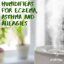 Allergies, colds & nasal congestion. Humidifiers For Eczema Asthma And Allergies