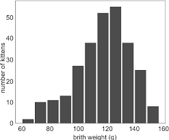 It has a long, bushy tail which is covered in flowing hair. Obstetric And Newborn Parameters In The Maine Coon Cats Semantic Scholar